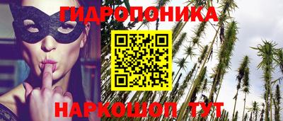тгк Боровичи