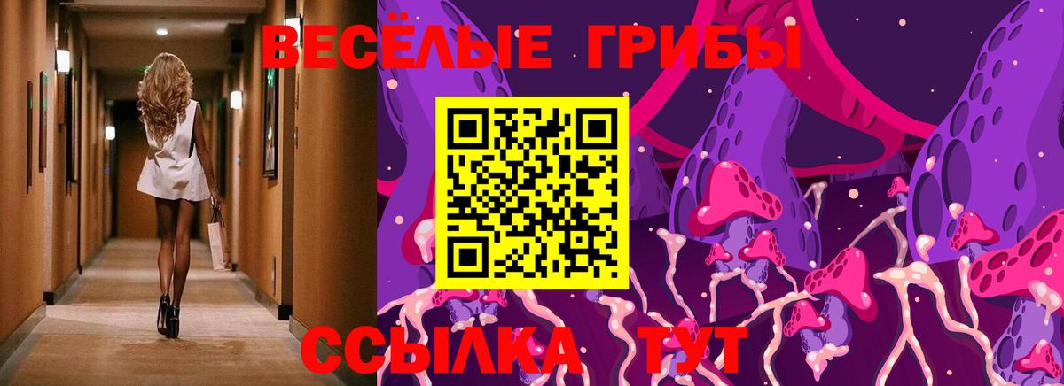 Псилоцибиновые грибы GOLDEN TEACHER Горно-Алтайск