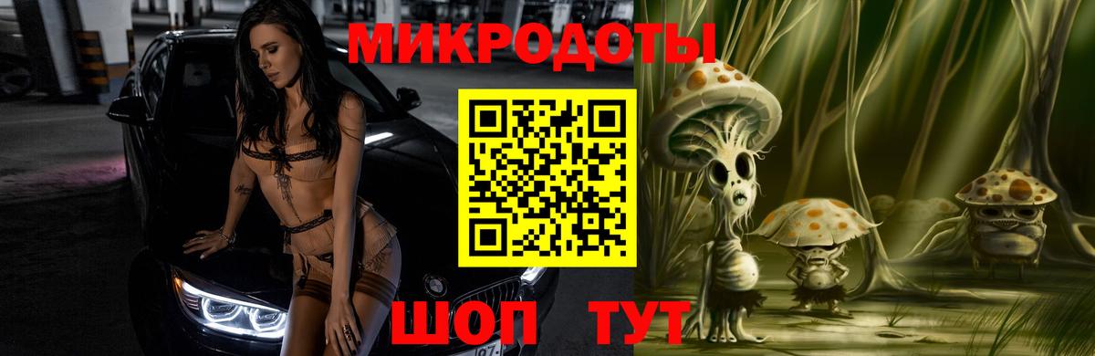 Псилоцибиновые грибы Psilocybine cubensis  Вход с VPN  Горно-Алтайск 